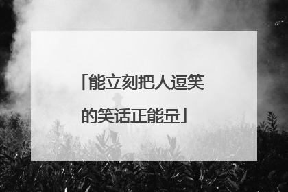 能立刻把人逗笑的笑话正能量