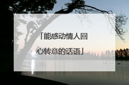 能感动情人回心转意的话语