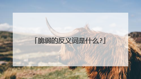 脆弱的反义词是什么?