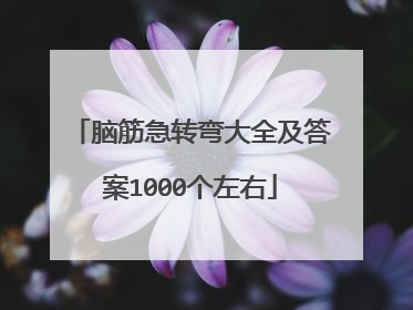 脑筋急转弯大全及答案1000个左右