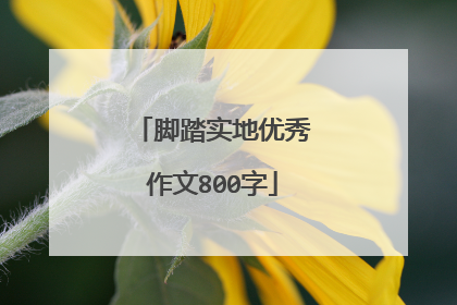 脚踏实地优秀作文800字