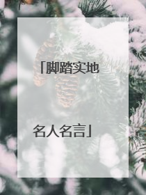 脚踏实地名人名言