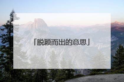 脱颖而出的意思