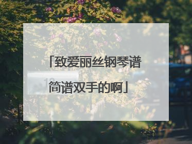 致爱丽丝钢琴谱简谱双手的啊