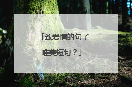 致爱情的句子唯美短句？