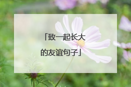 致一起长大的友谊句子