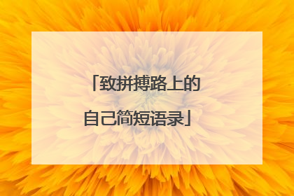 致拼搏路上的自己简短语录