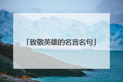 致敬英雄的名言名句