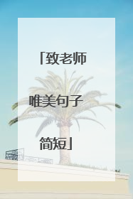 致老师唯美句子简短