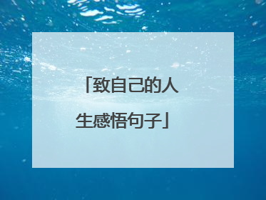 致自己的人生感悟句子