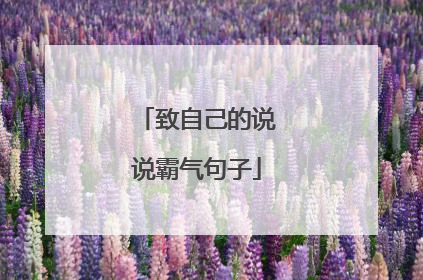 致自己的说说霸气句子