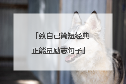 致自己简短经典正能量励志句子