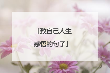 致自己人生感悟的句子