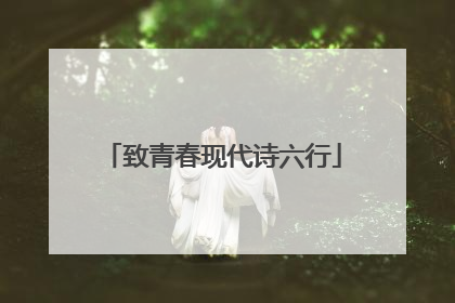 致青春现代诗六行
