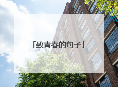 致青春的句子