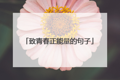 致青春正能量的句子