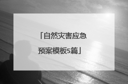 自然灾害应急预案模板5篇