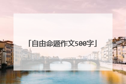 自由命题作文500字