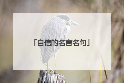 自信的名言名句