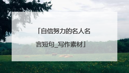 自信努力的名人名言短句_写作素材