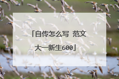 自传怎么写 范文大一新生600