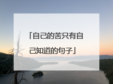 自己的苦只有自己知道的句子