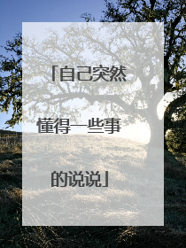 自己突然懂得一些事的说说