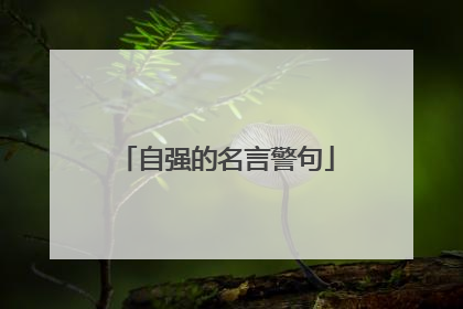 自强的名言警句