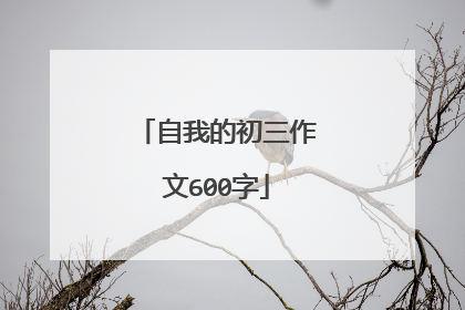 自我的初三作文600字