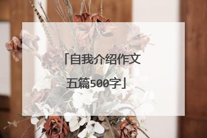 自我介绍作文五篇500字