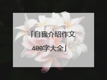 自我介绍作文400字大全