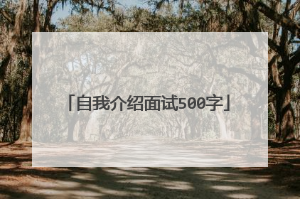 自我介绍面试500字