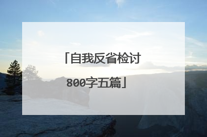 自我反省检讨800字五篇