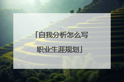 自我分析怎么写 职业生涯规划