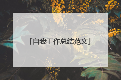 自我工作总结范文