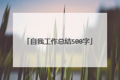 自我工作总结500字