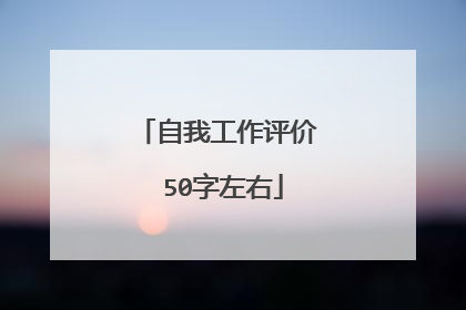 自我工作评价 50字左右