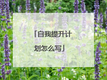 自我提升计划怎么写