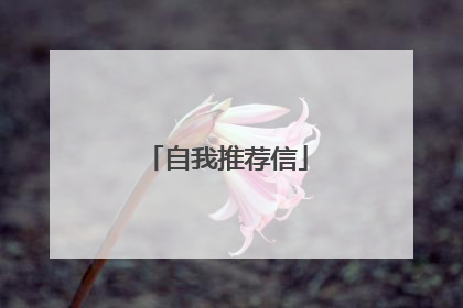 自我推荐信