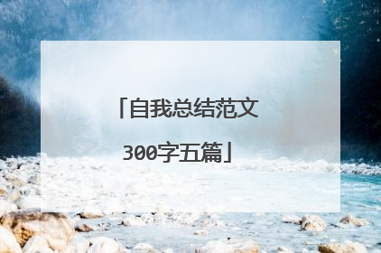 自我总结范文300字五篇