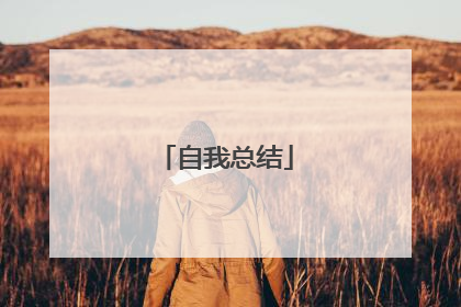 自我总结