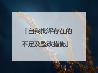 自我批评存在的不足及整改措施