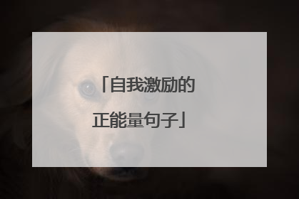 自我激励的正能量句子