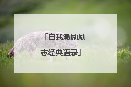 自我激励励志经典语录