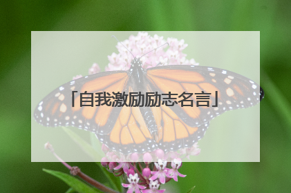 自我激励励志名言