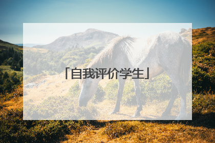 自我评价学生