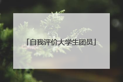 自我评价大学生团员