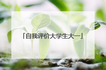 自我评价大学生大一