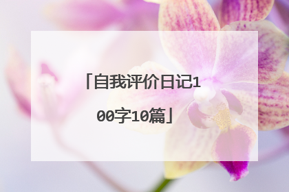 自我评价日记100字10篇