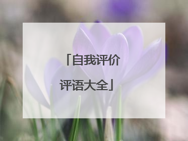 自我评价评语大全